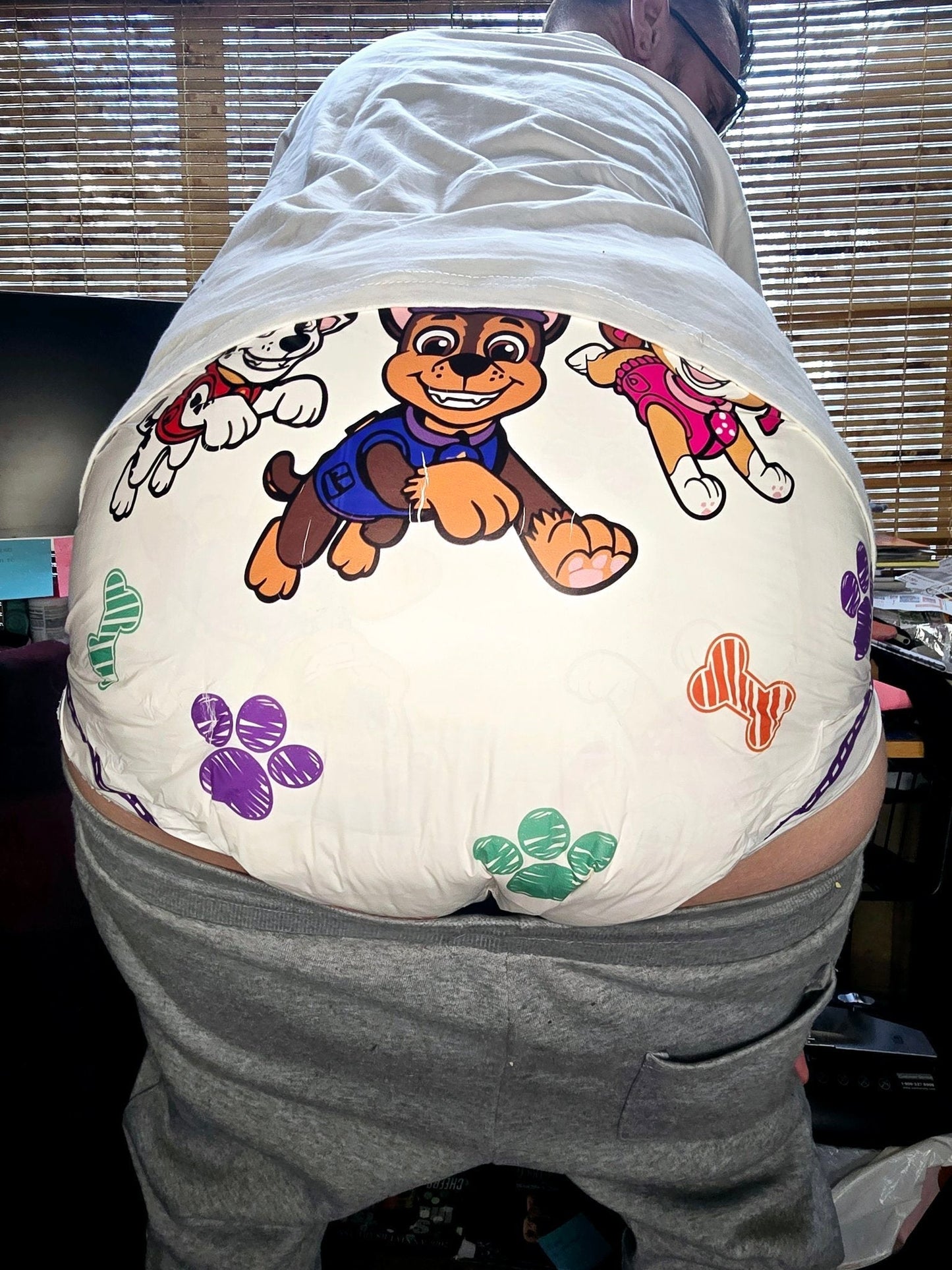 Paw patrol