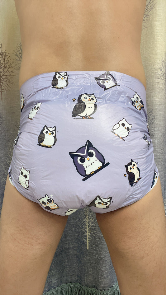 Owl V2