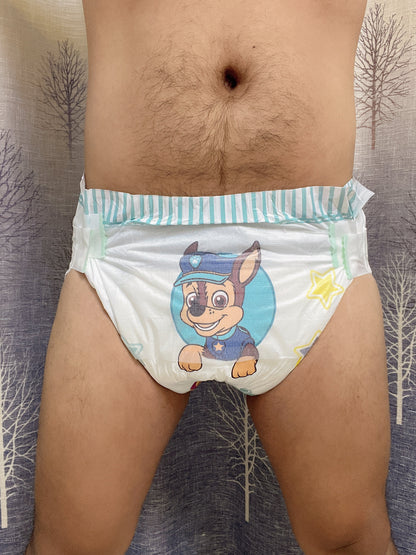 Paw patrol V2
