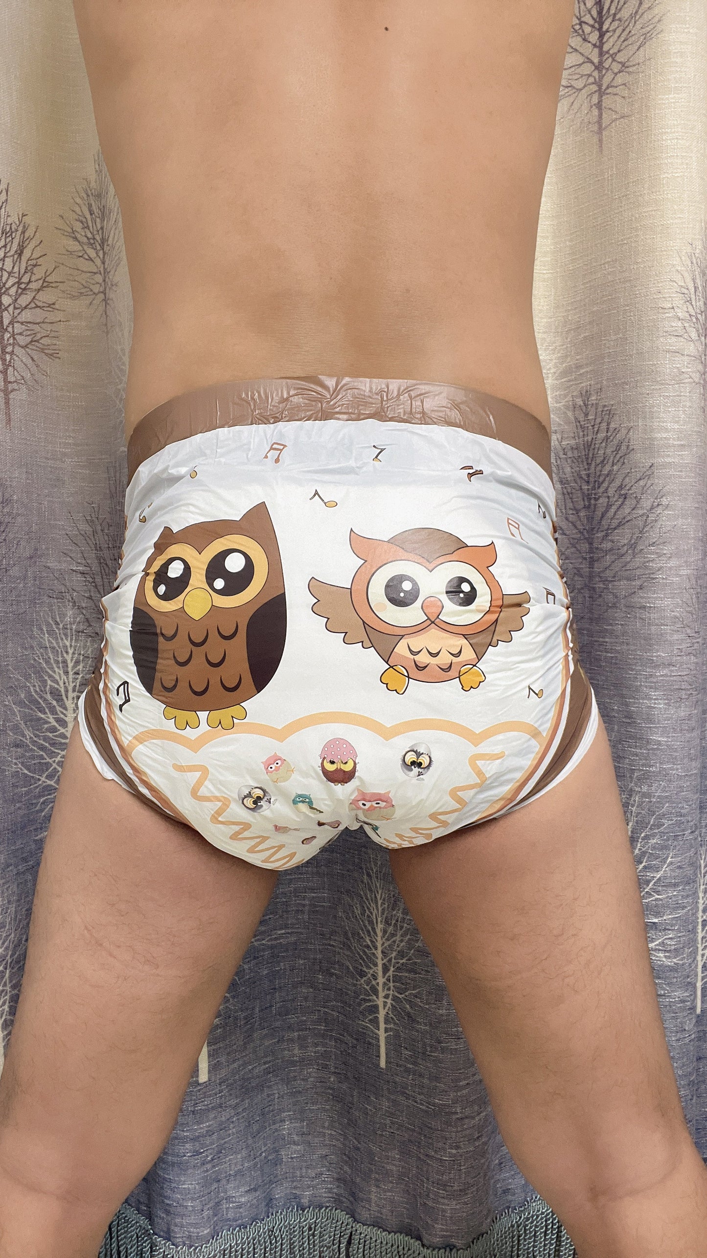 Owl